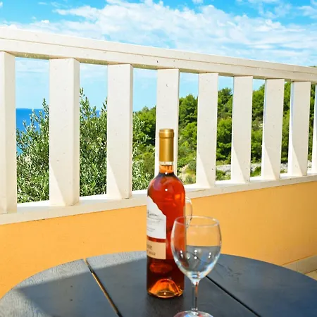 Tatinja 트로기르